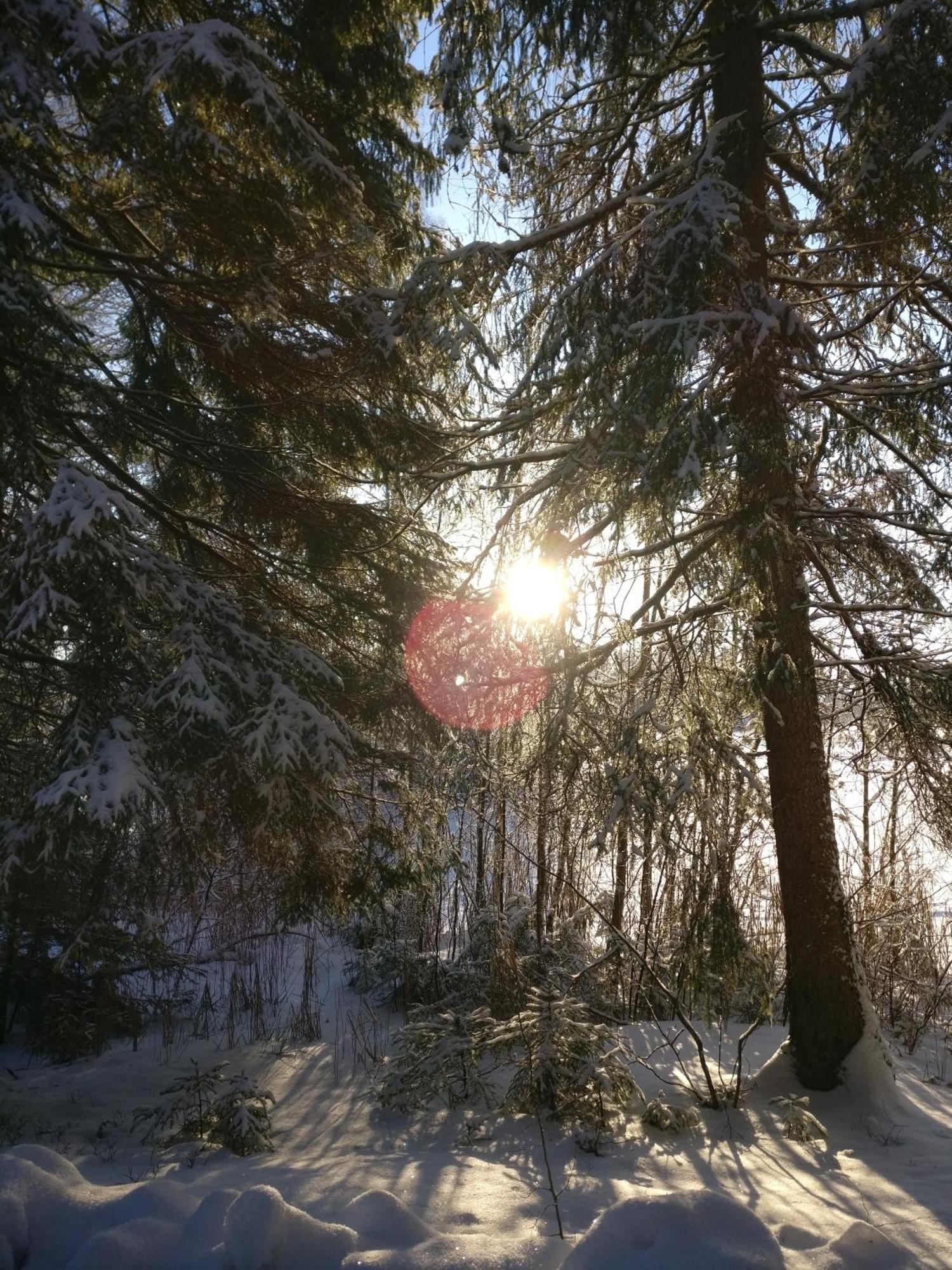 Private Lakeside Holiday Property In Nature Kankaanpää 外观 照片
